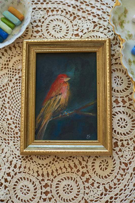 The Purple Finch