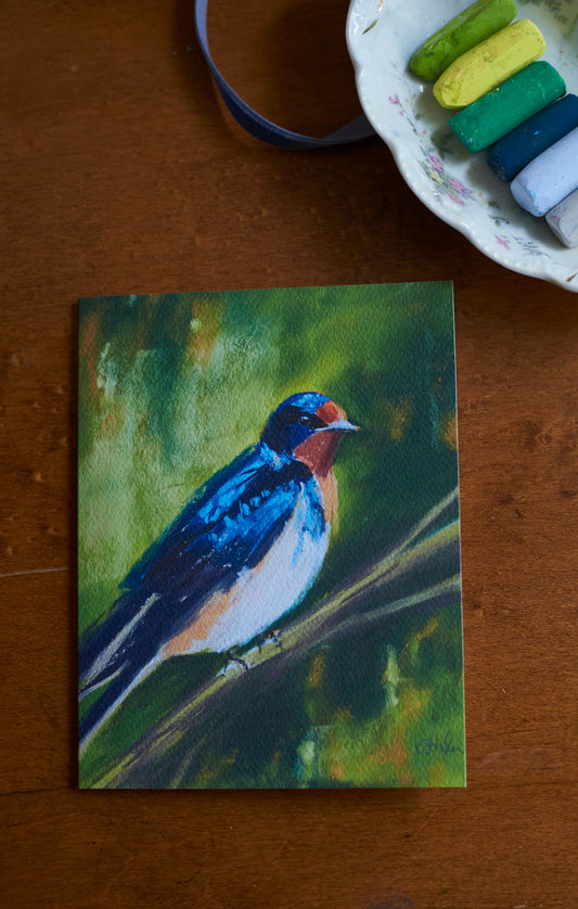 Set of 5 Barn Swallow notecards