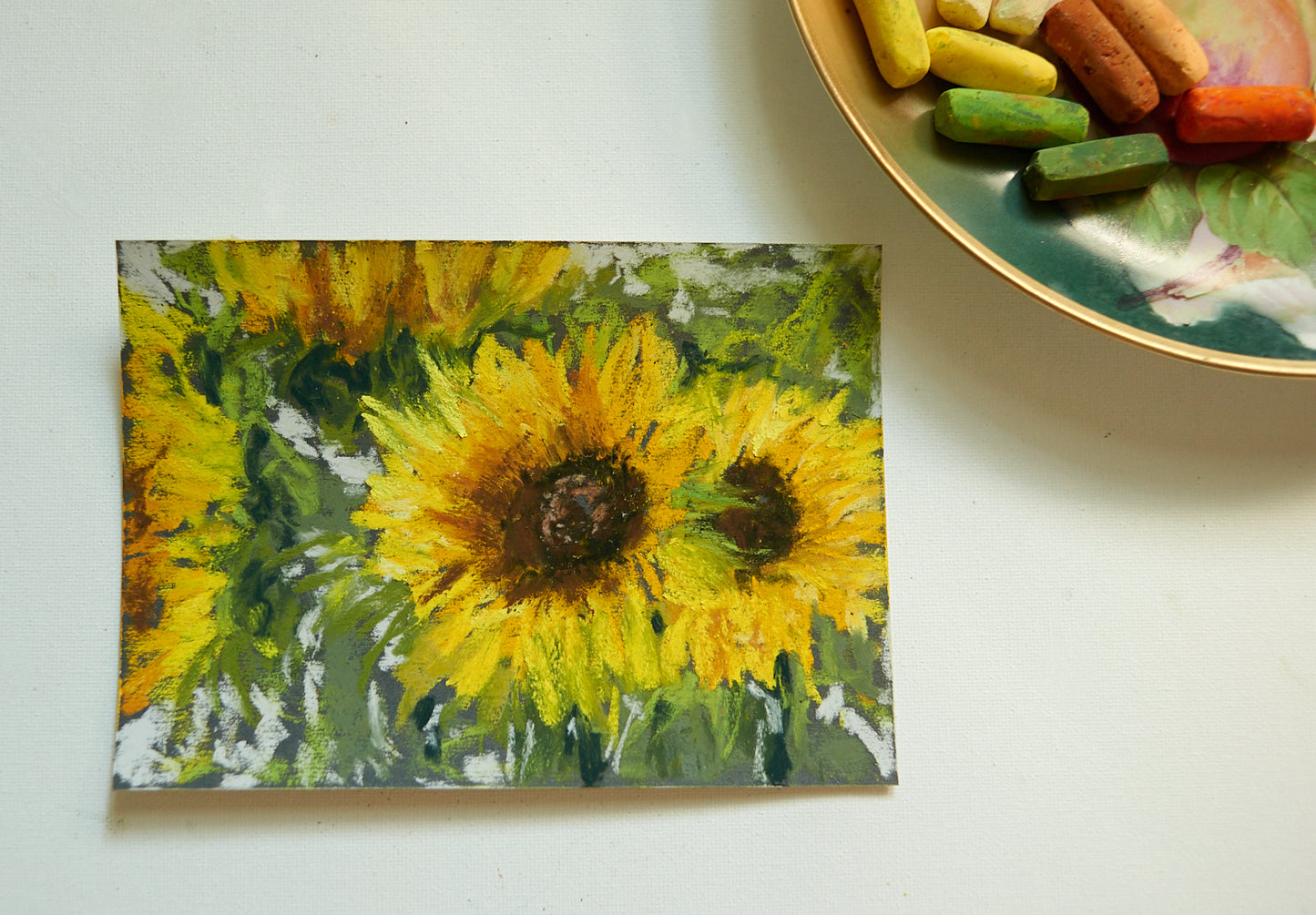 Sunflower study no. 1