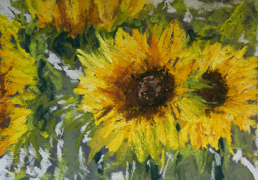 Sunflower study no. 1