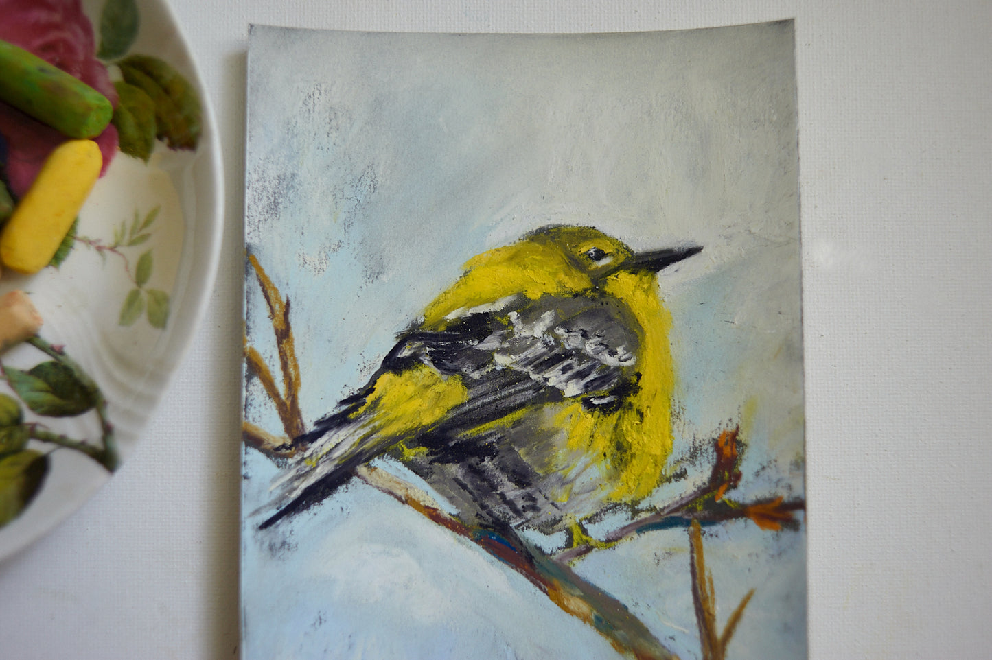 Yellow warbler